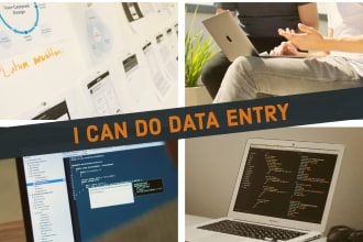 do virtual assistant, data entry, copy paste and wed research