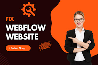 fix your webflow issue and provide an expert support