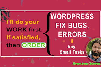 fix wordpress bugs, errors, issues and small tasks in 24 hrs