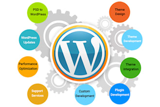 do wordpress customization and development