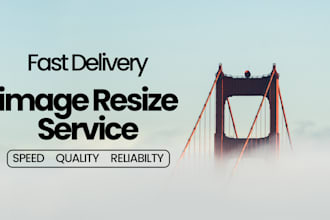 vector trace,recreate,resize your logo or image perfectly