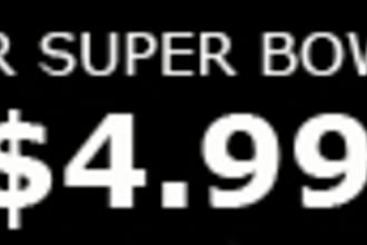 give you my winning Super Bowl XLVII pick