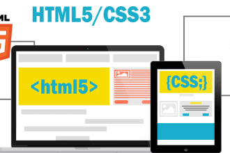 develop complete website with frontend, backend and databases integration
