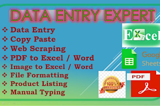 do data entry on excel, vcf, csv, word and pdf