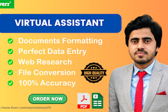 do perfect data entry and web research within 24 hours