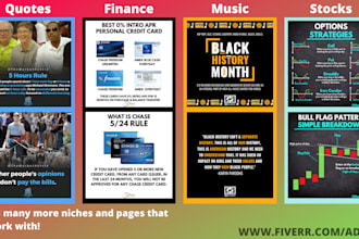 create infographic instagram post for any niche