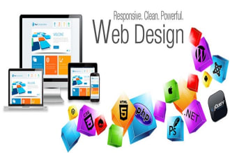 develop custom web application in asp net
