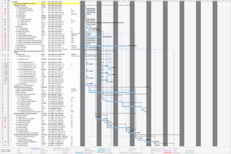 make gantt chart using ms project for project management