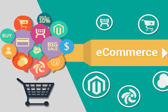 create a professional drop shipping website store