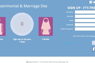 provide ready made matrimonial website
