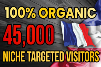 drive real france targeted web traffic