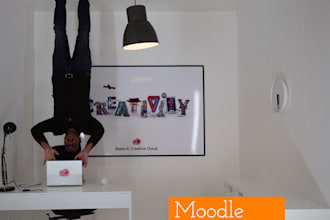 do moodle custom theme development and branding