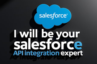 be your salesforce architecture and custom integration expert