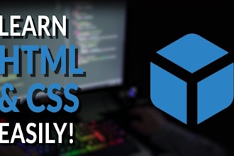 teach HTML css with live examples