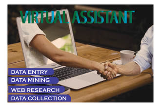 your virtual assistant for data entry,data mining,data collection,web research