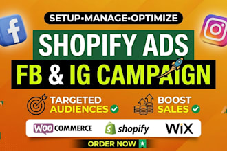 be your shopify facebook and instagram ads campaign manager