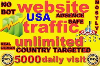 send 50k super targeted usa website traffic visitors