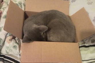help you sort through technobabble to find the best computer or laptop for your purposes