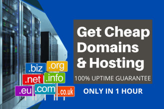register domain, setup hosting, connect domain, and migrate website