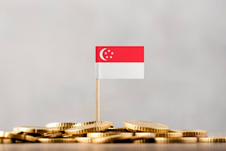 prepare and file financial statements for singapore company