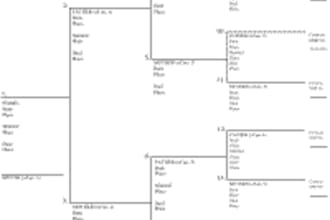 make a 4 generation family tree