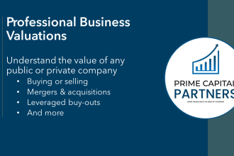 do professional business valuations and financial models