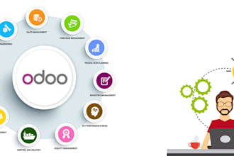 provide odoo services,upgrade your module to latest version