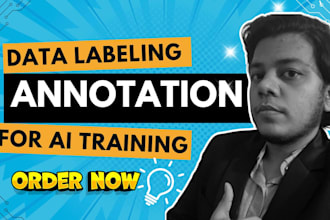 do manual data labeling and data annotation for ai training