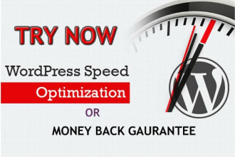 speed up wordpress website and woocommerce site in 2 hours