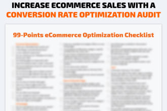 run a 99 pt ecommerce conversion rate optimization audit