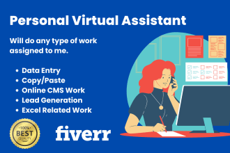 be your virtual assistant for data entry work