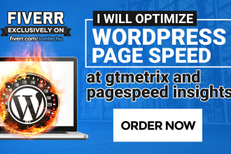 optimize wordpress page speed at pagespeed insights