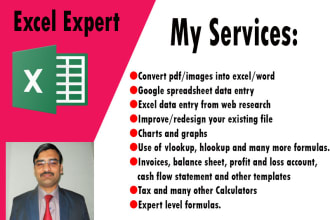 be your ms excel expert for quick excel projects