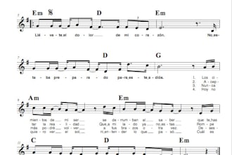 make a professional transcript for you audio
