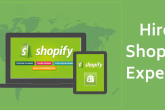 review your shopify website and help you to increase conversions