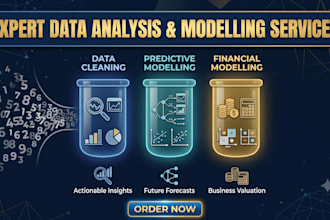 do data analysis, predictive modelling, financial modelling