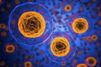 do biology and microbiology tasks