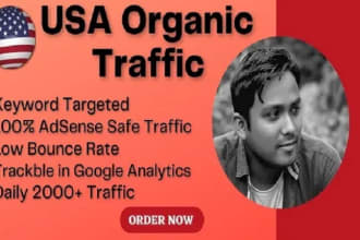 bring google adsense safe USA organic targeted web traffic