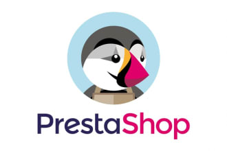 create a professional prestashop ecommerce website for you