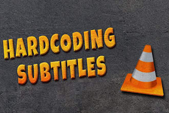 provide professional english and hindi subtitles for videos