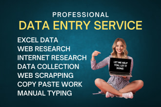do excel data entry and web research