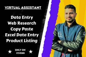 do data entry, copy paste, web research, excel data entry