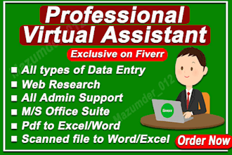 be your virtual office assistant for data entry and designs