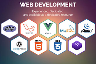 update or develop  PHP laravel codeigniter  wordpress website