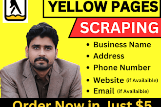 do yellow pages, data scraping or google map scraping, web scraping, web scraper