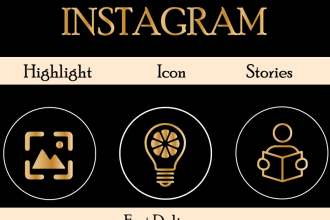 design professional instagram highlights and icon