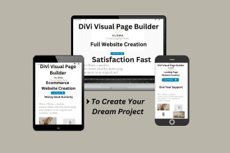 build a fully responsive professional website with divi