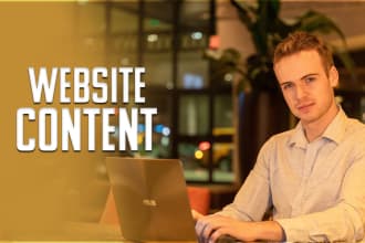 be your website content writer and do copywriting