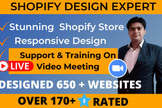 do premium shopify theme design