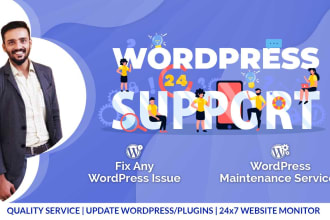 be your support staff wordpress monthly maintenance